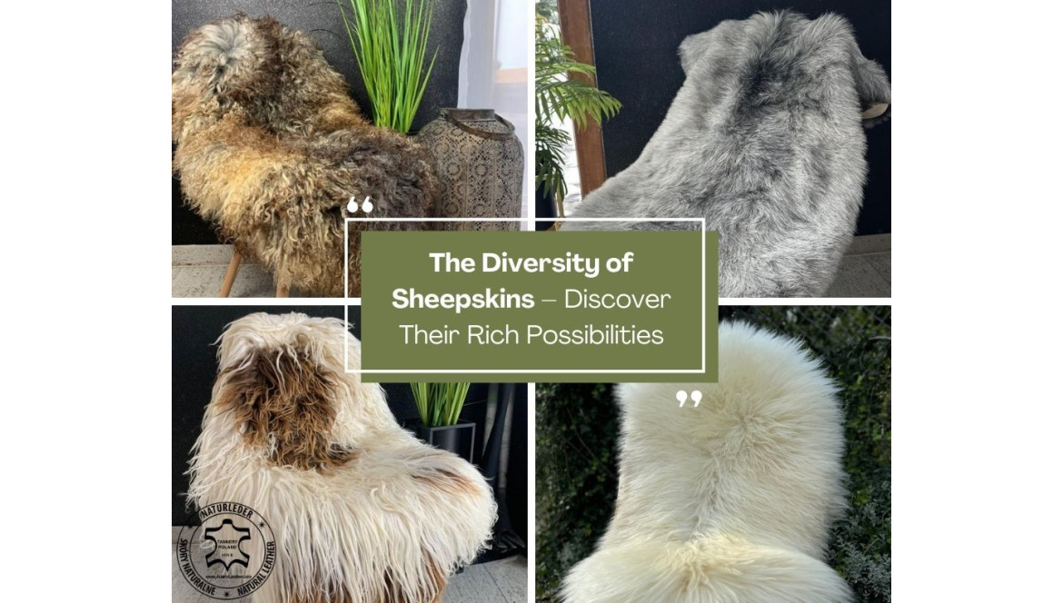 The Diversity of Sheepskins – Discover Their Rich Possibilities